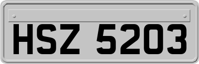 HSZ5203
