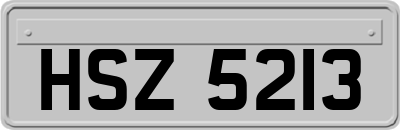 HSZ5213