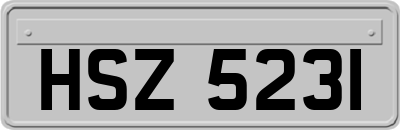 HSZ5231