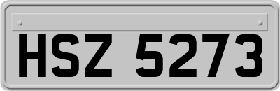 HSZ5273