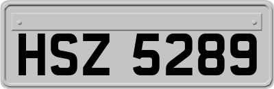 HSZ5289