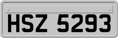 HSZ5293