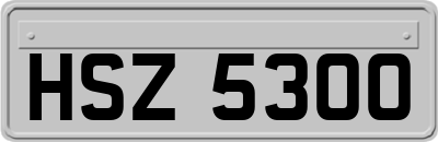 HSZ5300