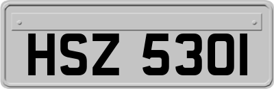 HSZ5301