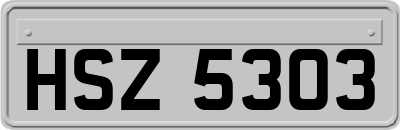 HSZ5303