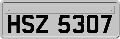 HSZ5307