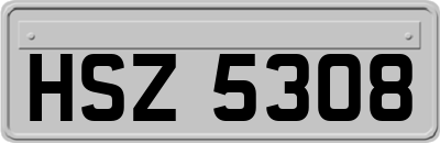 HSZ5308