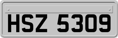 HSZ5309