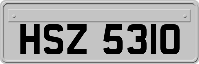 HSZ5310