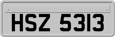 HSZ5313