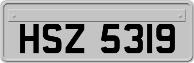 HSZ5319