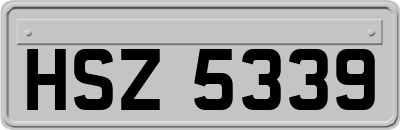 HSZ5339