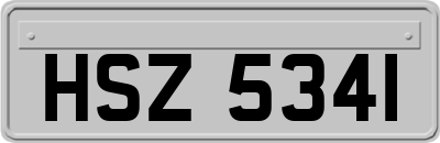 HSZ5341