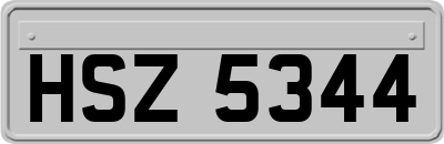 HSZ5344