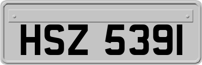 HSZ5391