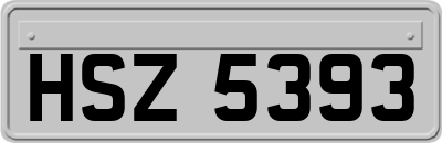 HSZ5393