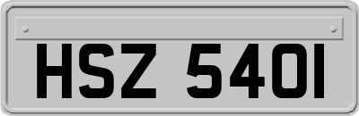 HSZ5401