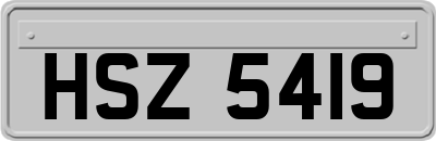 HSZ5419
