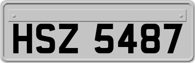 HSZ5487