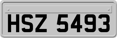 HSZ5493