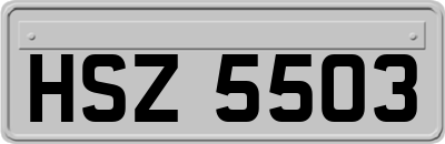 HSZ5503