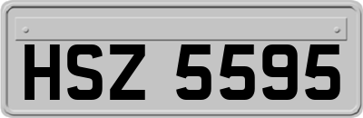 HSZ5595