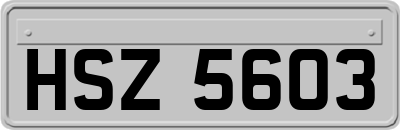 HSZ5603