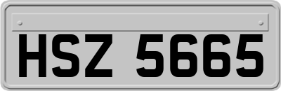 HSZ5665