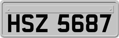 HSZ5687