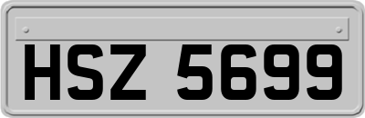 HSZ5699