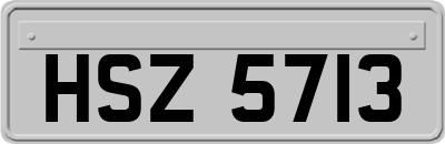 HSZ5713
