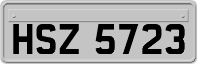 HSZ5723