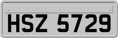 HSZ5729