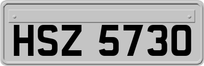 HSZ5730