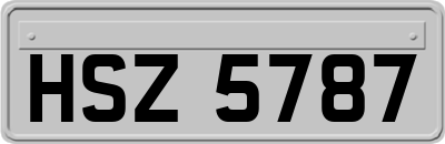 HSZ5787
