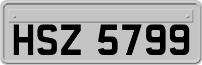 HSZ5799