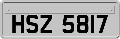 HSZ5817