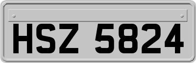 HSZ5824