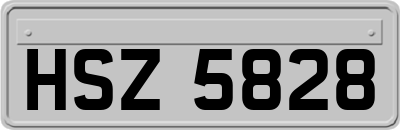 HSZ5828