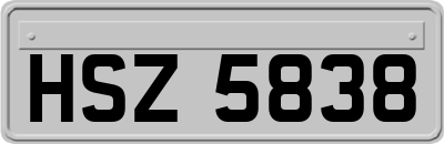 HSZ5838