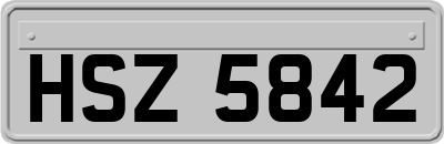 HSZ5842