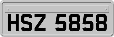 HSZ5858