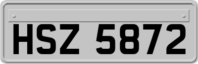 HSZ5872