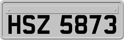 HSZ5873
