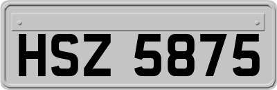 HSZ5875