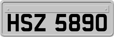HSZ5890