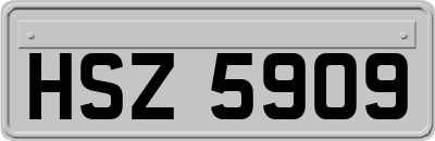HSZ5909