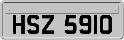 HSZ5910