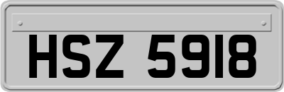 HSZ5918