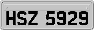 HSZ5929